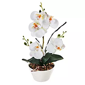 LOUHO Silk Flowers with Pot 31cm in Height Artificial Orchid Phalaenopsis Arrangement Flower Bonsai with Vase for Room Table Centerpieces-H:12”(White)