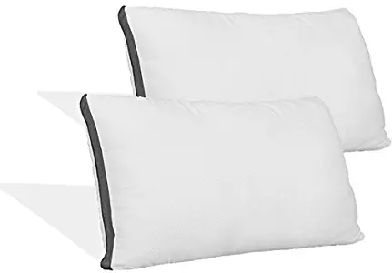 Coop Home Goods - Pillow Protector from Lulltra Fabric - Waterproof and Hypoallergenic - Protect Your Pillow Against Fluids - Oeko-TEX Certified - King (2 Pack)