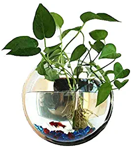 Candyqueen 1Pcs Creative Acrylic Planter Hanging Pot Wall-Mounted Planter Tank Bowl Vase Bubble Aquarium Decor
