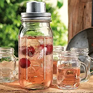 Home Essentials Mason Jar Cocktail Shaker with Shooter Glasses