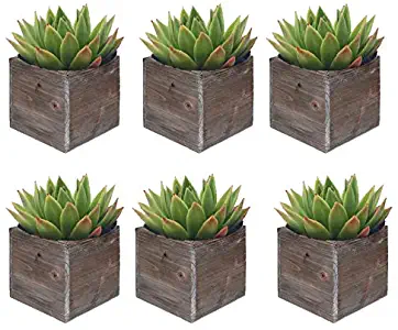 CYS EXCEL Rustic Cube Planter Box, Wood Planter, Decorative Craft Box, Succulent and Floral Arrangements, Wood Box with Removable Liner H:4" Open:4x4 (Pack of 6)