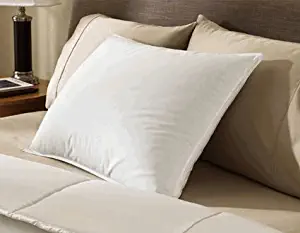 Encompass Group ® 50/50 White Duck Feather and Down Pillow - Queen Size