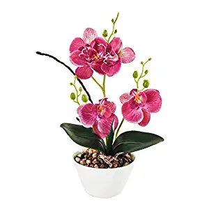 IMIEE Silk Flowers with Pot 31cm in Height Artificial Orchid Phalaenopsis Arrangement Flower Bonsai with Vase for Room Table Centerpieces-H:12”