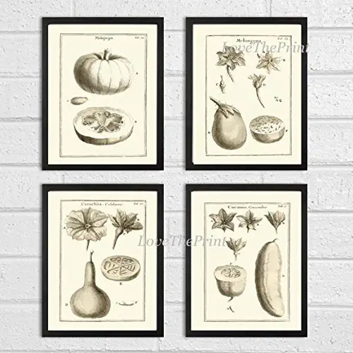 Vegetable Print Set of 4 Beautiful Wall Art Botanical Tomato Eggplant Squash Cucumber Flower Chart Antique Ivory Background Green Garden Plants Nature Home Room Decor Wall Art Unframed JPT