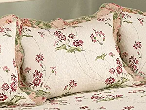 Modern Heirloom Collection Jasmine Cotton Quilted Standard Sham, 20 by 26 Inch