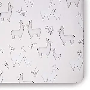 Oilo Studio Llama Jersey Crib Sheet