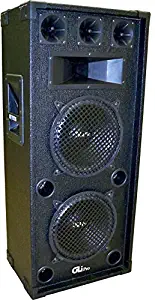 GLI XL-21080 Club PVC Dual 10 in. PVC Speaker