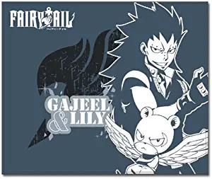 Great Eastern Entertainment 57573 Fairy Tail S4 GAJEEL & Lily Throw Blanket, One Size, Muti/Colored