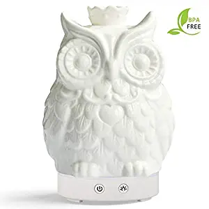Essential Oil Diffuser 120 Milliliter Cool Mist Humidifier -14 Color LED Nihgt Lamps -Crafts Ornaments All in 1 is the Round Rich Upgrade Whisper-Quiet Operation Ultrasonic Ceramics Owl Humidifiers US120V