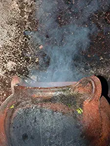 Home Comforts Cook Witchcraft Cauldron Steam Broth Cooking Pot Vivid Imagery Laminated Poster Print 11 x 17