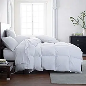 Lavish Comforts The Ultimate Winter Comforter Hotel Luxury Down Alternative Comforter Duvet Insert with Tabs Washable and Hypoallergenic (Queen)