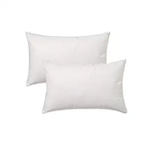 IZO Home Goods Premium Indoor/Outdoor Pillows 12" x 24" Set of 2 Rectangle Pillow for Decorative Patio Cushion Shams - Hypoallergenic, Anti-Mold Water Resistant (2 Pack) -Standard/White