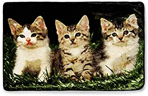Arctic Trail Trading Co. Kittens Throw