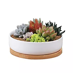 6 Inch Modern White Ceramic Round Succulent Cactus Planter Pot with Drainage Bamboo Tray,Decorative Garden Flower Holder Bowl