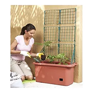 Vegetable Planter Box Comes with Trellis Mobile & Perfect for Home Garden Patch Patio & Self Watering Sale Watering Container Gardeners Will Love Growing Vegetable Plants Organic or Otherwise Since It Has Wheels and a Handle by LCI