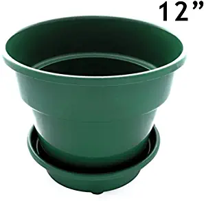 Large 12" Self Watering + Aerating + High Drainage Deep Reservoir Round Planter Pot Minimizes Root Rot & Soil Fungus in Herb, Succulent, for Indoor & Outdoor & Window Gardens (12 inch, Green)