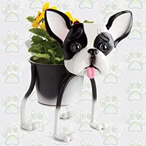 Mini Painted French Bulldog Metal Indoor/Outdoor Planter
