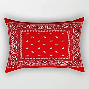 Rdsfhsp Paisley Bandana Red Southwestern Boho Decorative Pattern Cushion Covers Throw Pillow Case For Decorating Sofa Car Bedroom Etc Or Gifts Cotton 16x24 In