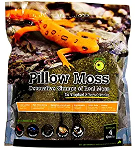 Galápagos (05234) Pillow Moss, Clumps of Real Moss, Natural, 4QT