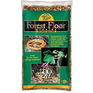 Best Zoo Med Forest Floor Reptile Bedding The Best Home