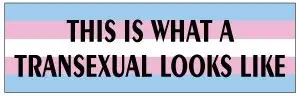 Bumper Planet - Car Magnet - This is What A Transexual Looks Like - 3 x 10 inch - Professionally Made in USA