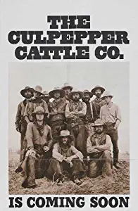 Culpepper Cattle Company Movie Poster (27 x 40 Inches - 69cm x 102cm) (1972) Style B -(Gary Grimes)(Billy Green Bush)(Luke Askew)(Bo Hopkins)(Geoffrey Lewis)