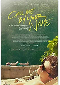 Call Me by Your Name Movie Art Poster - No Frame(11x17)