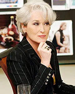 Erthstore Meryl Streep 24x30 Poster Classic Devil Wears Prada