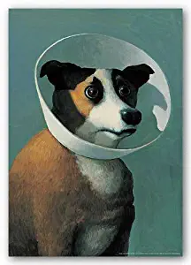 Dog with Cone by Michael Sowa 17