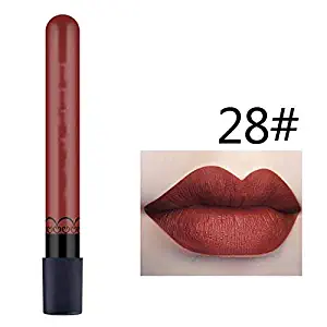 1 Pcs Sexy Vampire Lipstick Matte Waterproof Velvet Lip Stick 28 Colors Red Pigments Lipsticks Beauty Lips,28