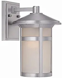 Acclaim 39102BS Phoenix Collection 1-Light Wall Mount Outdoor Light Fixture, Brushed Silver