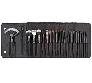 Coastal Scents 22 Piece Makeup Brush Set (BR-SET-011)