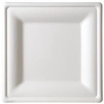 Eco-Products Compostable Square Sugarcane Plates - Large - Case of 250 - EP-P023