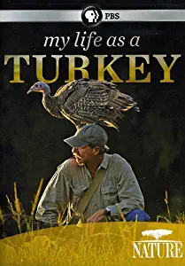 Nature: My Life as a Turkey